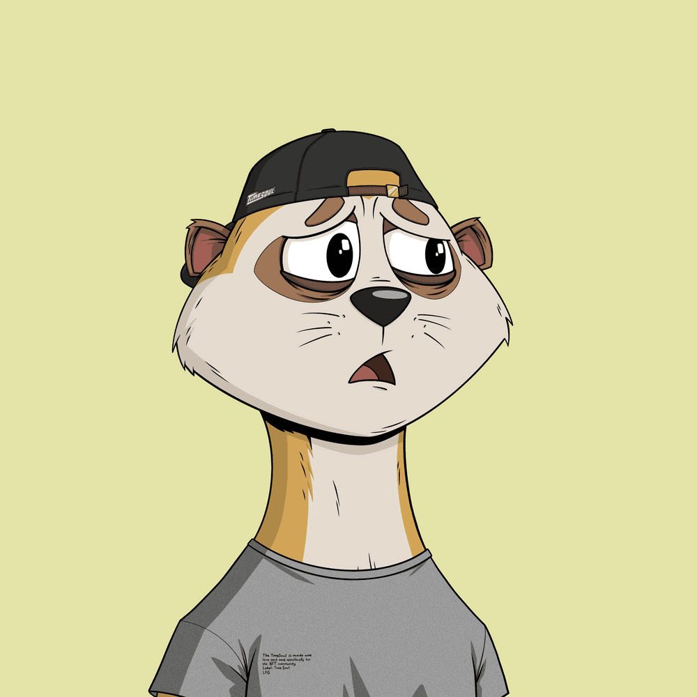 Worried Meerkat #205
