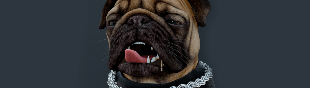 PRIVATE PUGS CLUB - OGs COLLECTION