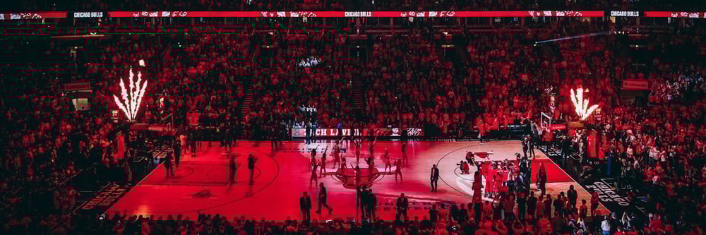 Chicago Bulls - THE AUROCHS