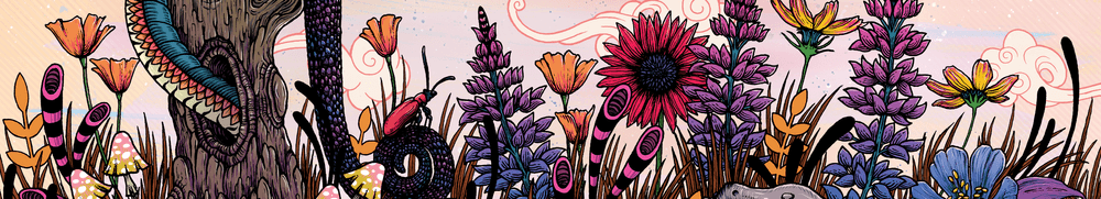 Mat Miller Editions