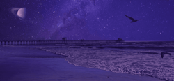 A Darkened Shore