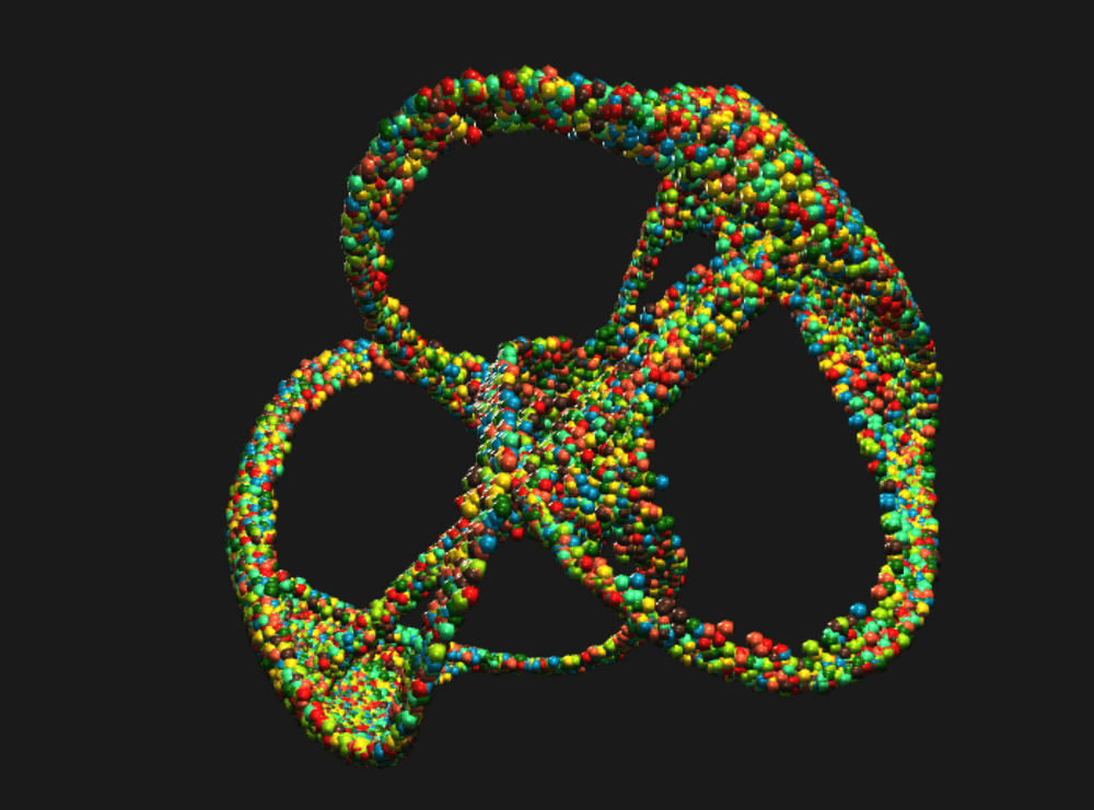 Negative Entropy