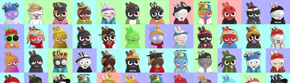 Rabbit College Club
