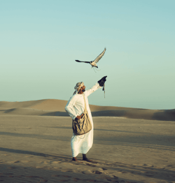 UAE First Immersion Airdrop - Monaris