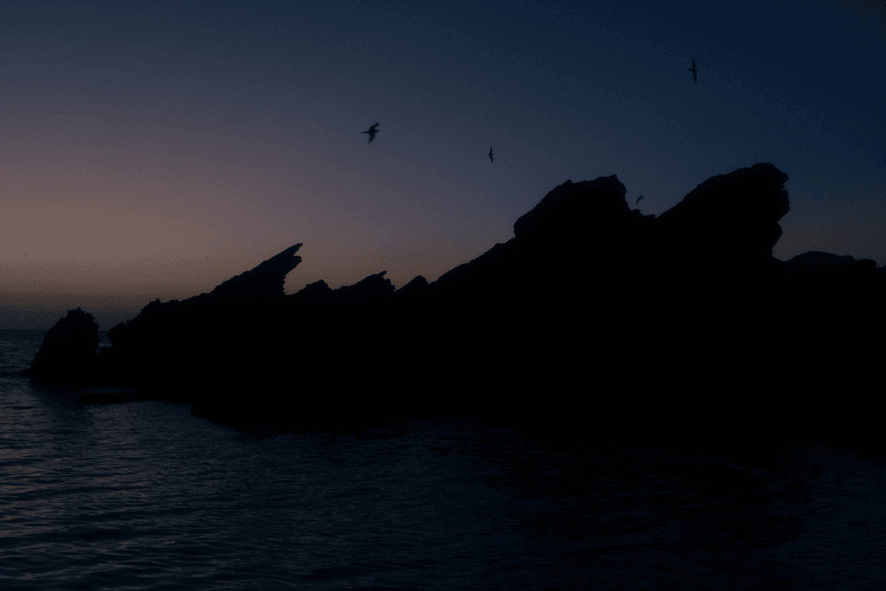Shades of Our Ocean