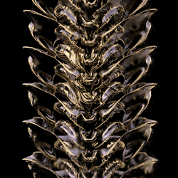Bone Machine