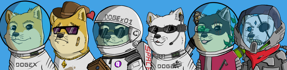 DOGEXJR