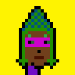 The NinjaPunks