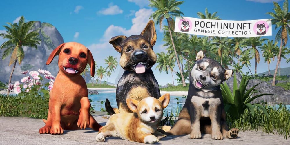 Pochi Inu NFT Genesis Collection