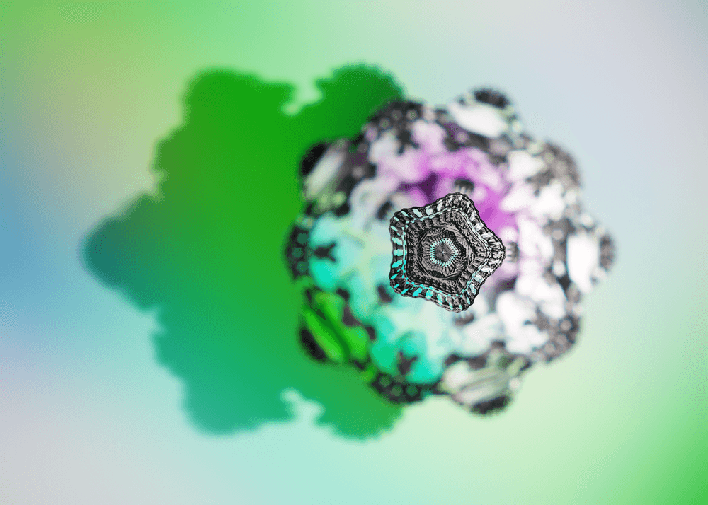osFRACTALs