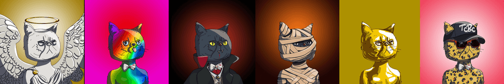 Top Cat Club