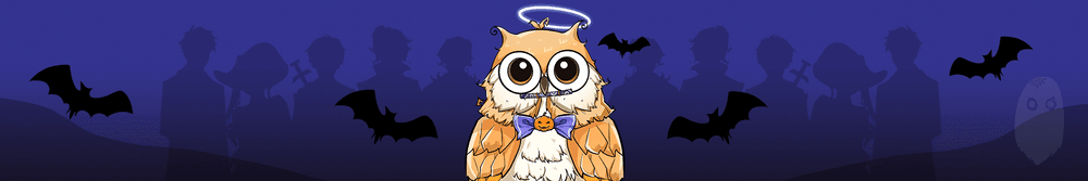 Hello Owl Official