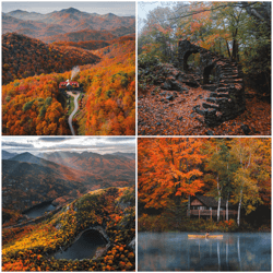 Editions of the SEASONS by Brayden Hall