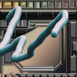 Worms & Microchips