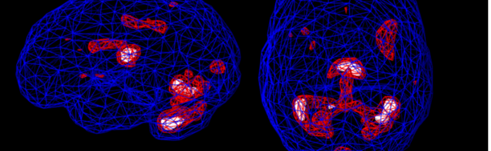 Spectral Brains