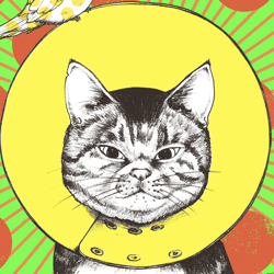 viviDanimals Ethereum