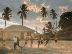 Snapshots of Life by Alexandru Chitu