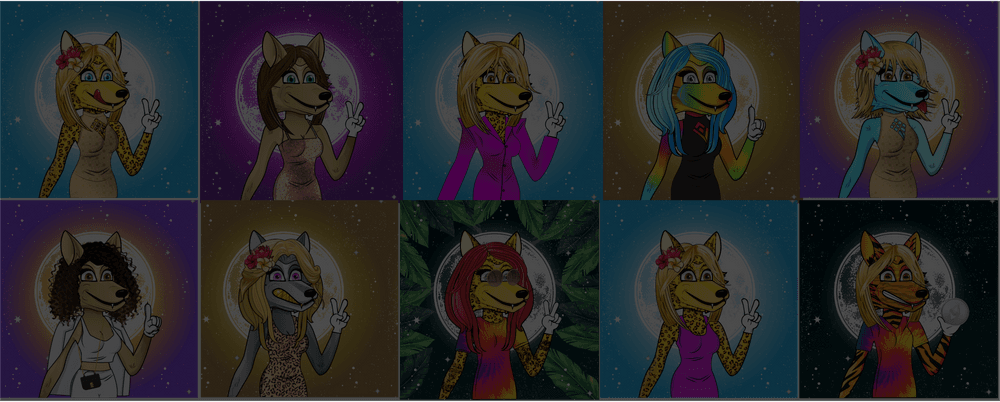 wolfette