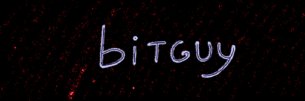 bitguy