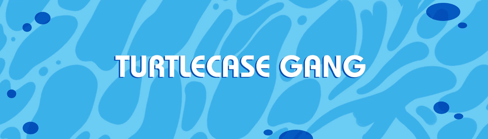 TurtleCase Origins