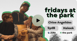 fridays at the park 002