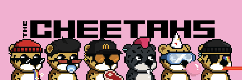 The Cheetahs Genesis