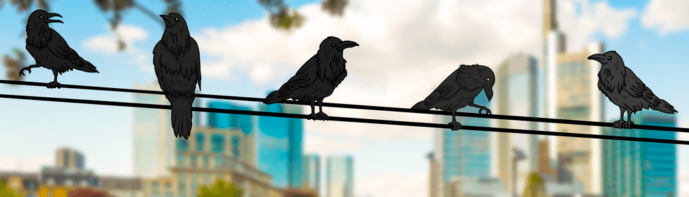 BasedBirds