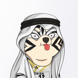 THE SAUDI SHIBAS OFFICIAL