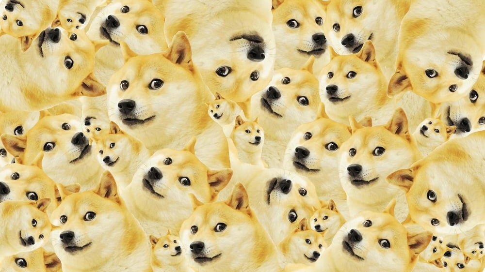 OfficialNFDoge