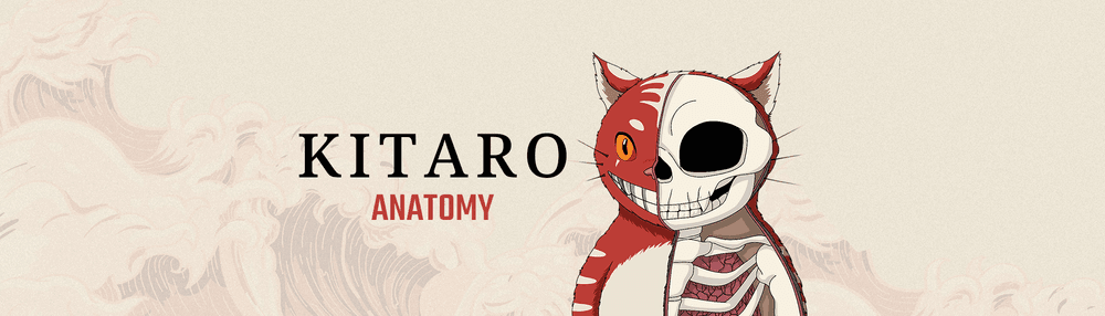 Kitaro Anatomy