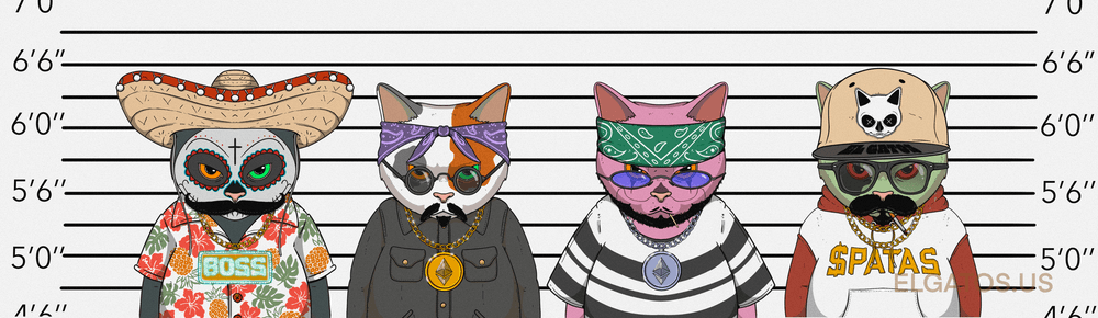 El Gatos Cartel Official