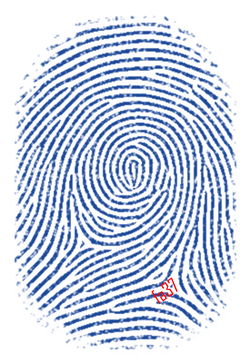 SHA-256 fingerprints