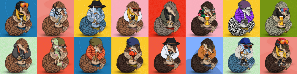 Pangolin Collection