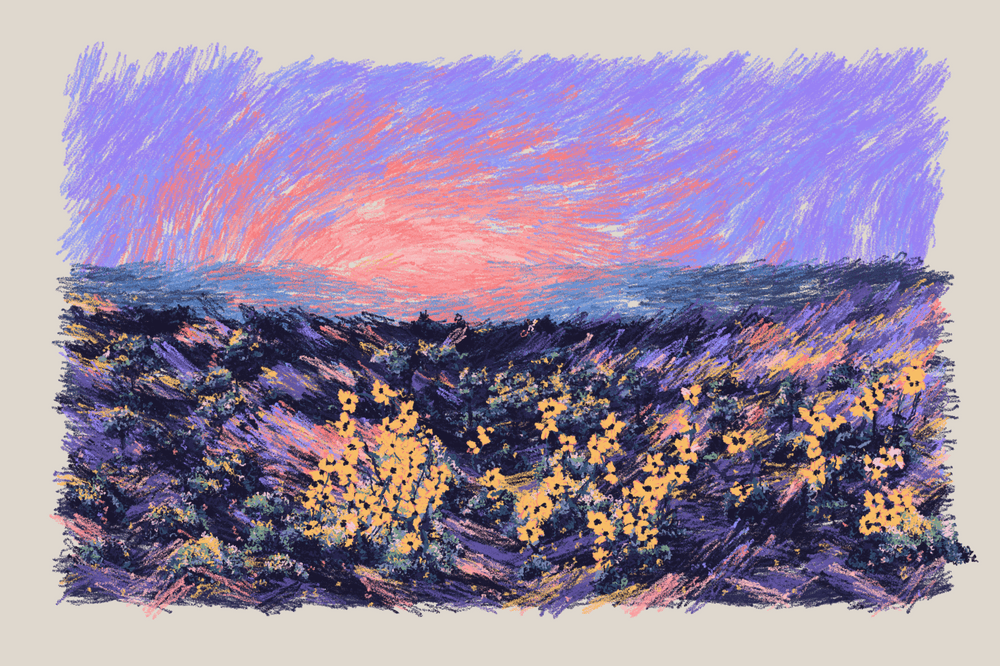 Mint Pass Sunset From The Bluffs | Nat Sarkissian | MPSS