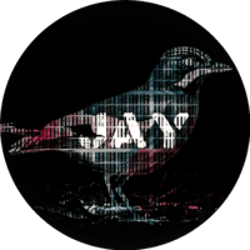 JAY Store