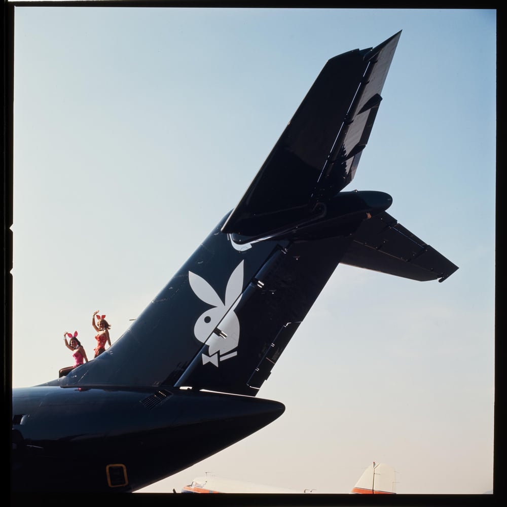 Playboy Hare Drops