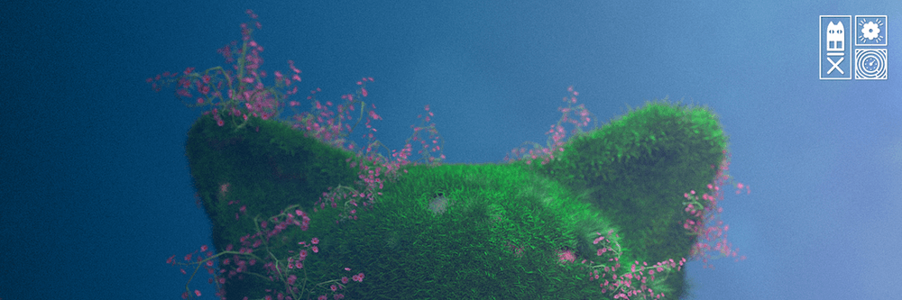 CatBlox Studio Collection