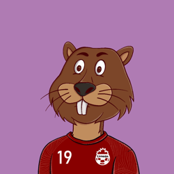 QatarFootballZoo