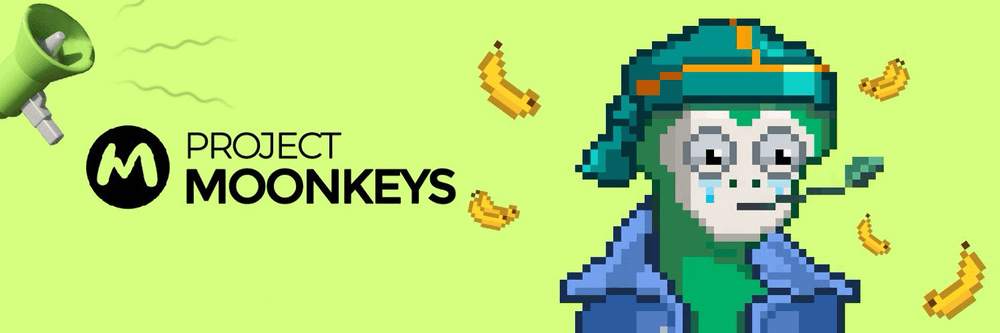 Moonkeys Project
