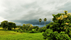 Natural Beauty of an Indian Village