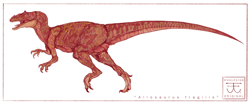 The Allosaurus Collection