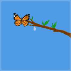 ButterflyClaims