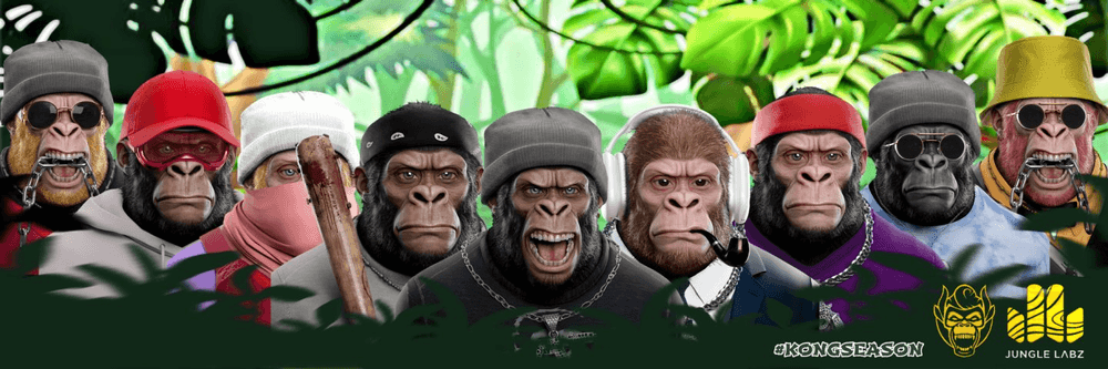 Jungle Kong
