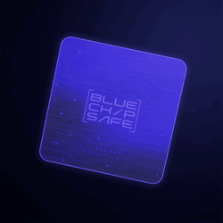 Blue Chip Safe (BCS)