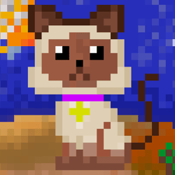 DoonX Cats
