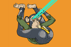 Bored Ape Yoga Club