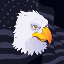 Project_Soar