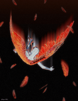 Icarus's Descent