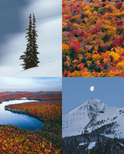 8 Week Editions by Chad Torkelsen
