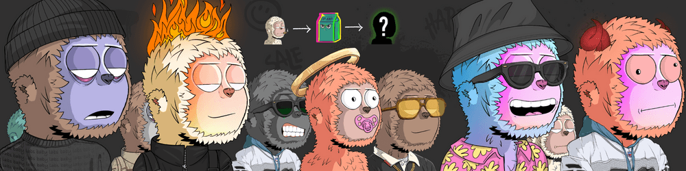 Baby y00ts by Baby Labs
